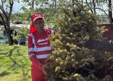 Aseo Capital y la Alcaldía de Arraiján desarrollan jornada de recolección de arbolitos de Navidad